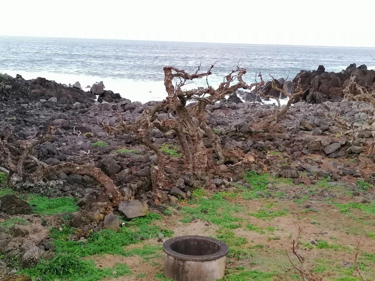 Casa de Férias A Casa Da Formosinha Madalena (Azores)