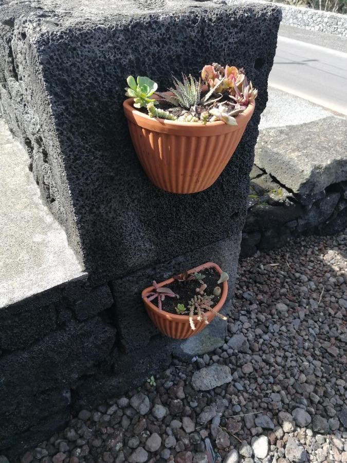 A Casa Da Formosinha Hébergement de vacances