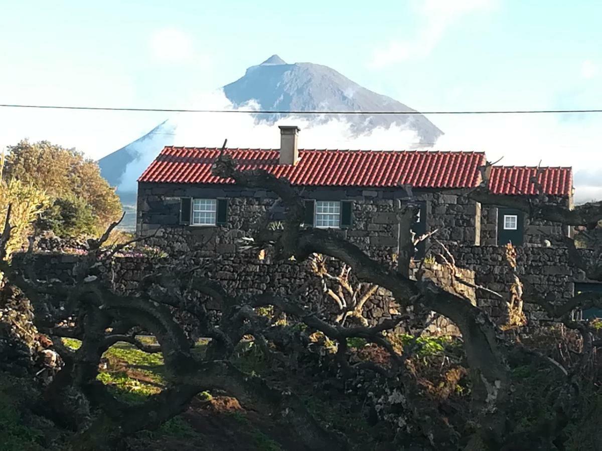 A Casa Da Formosinha Casa de Férias